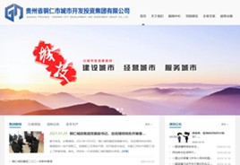 黔西城市开发投资集团有限公司