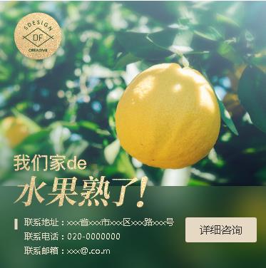 黔西果园果林小程序开发